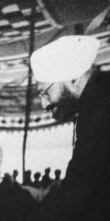 Portrait of Sirdar Kapur Singh
